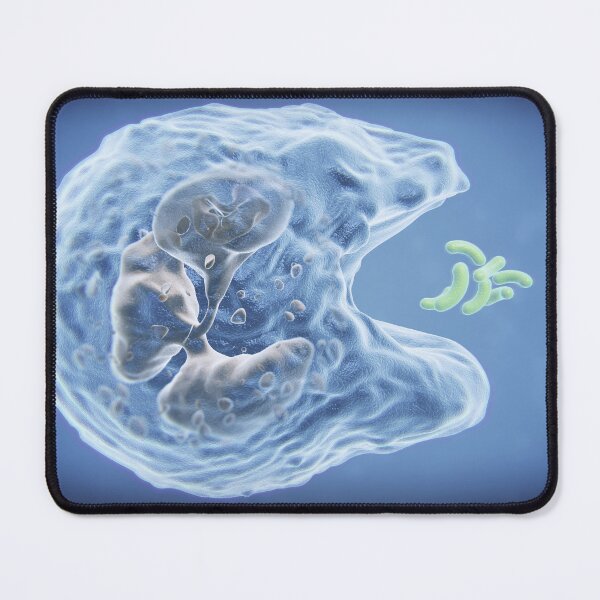 Item preview, Phagocytosis, White Blood Cell and Bacteria Illustration designed and sold by ScienceSource.