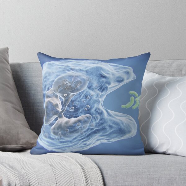 Item preview, Phagocytosis, White Blood Cell and Bacteria Illustration designed and sold by ScienceSource.