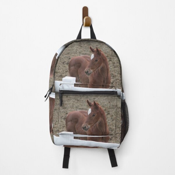 Item preview, Little Ichabod designed and sold by Sandy Shiner-Swanson.