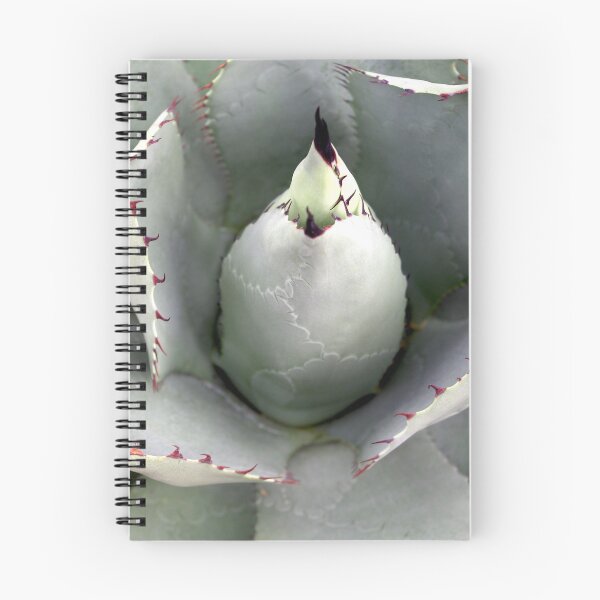 Item preview, Parry's Agave designed and sold by The Botanical Jason.