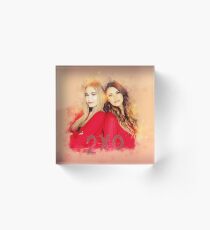 2x Acrylic Block