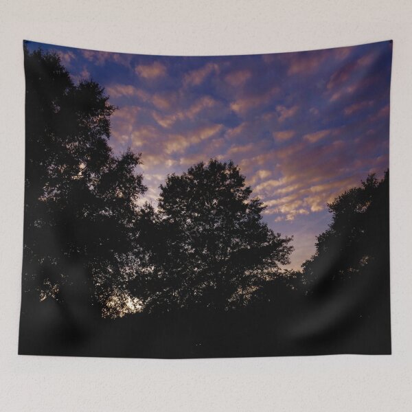 Item preview, Kenmore Park Sunset designed and sold by srobz.