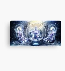 Awake Could Be So Beautiful, 2011 Canvas Print