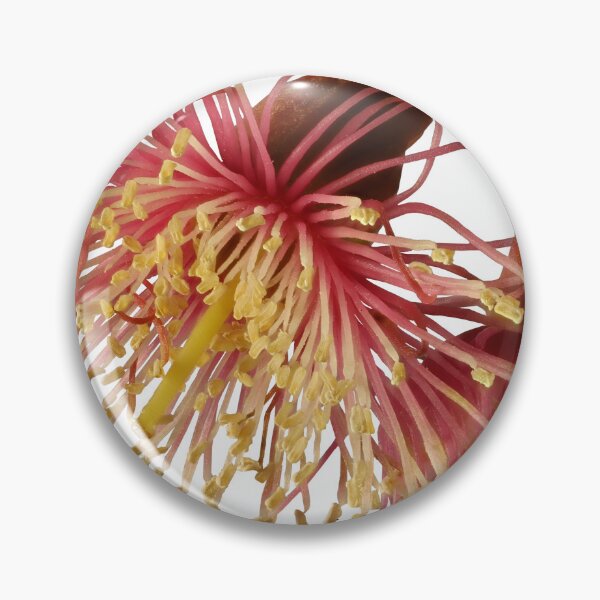 Item preview, Coolgardie Beauty designed and sold by NanaRusty.