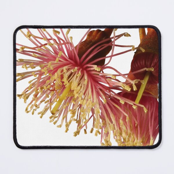 Item preview, Coolgardie Beauty designed and sold by NanaRusty.