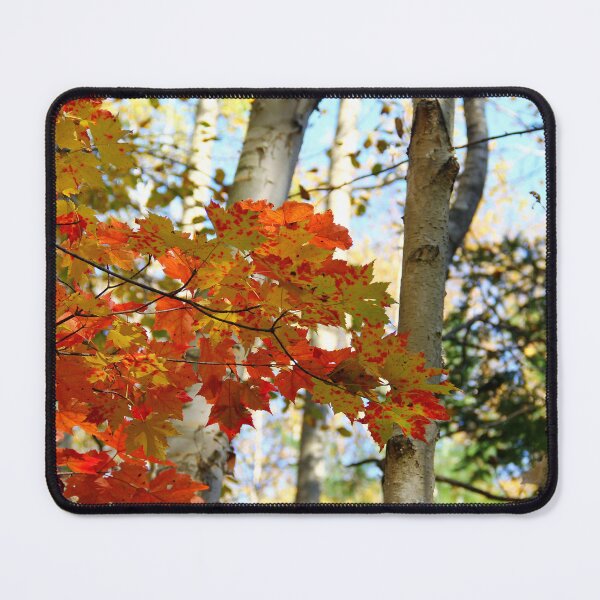 Item preview, Harmony - Birch And Maple designed and sold by Debbie Oppermann.