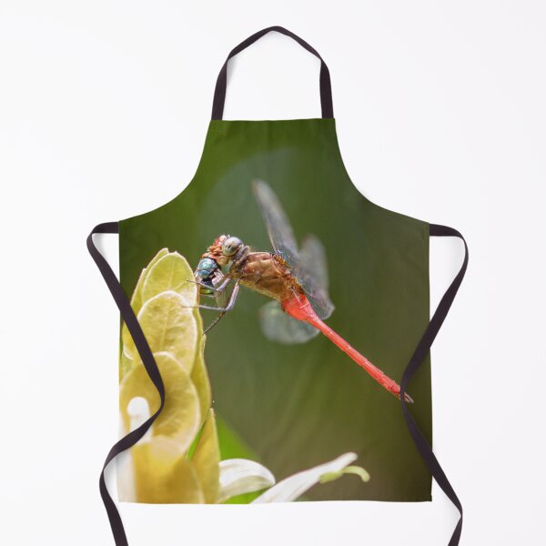 Item preview, Dragonfly designed and sold by Jacquiamber.