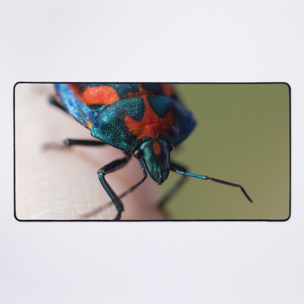 Artikelvorschau, Jewel Bug entworfen und verkauft von Jacquiamber.