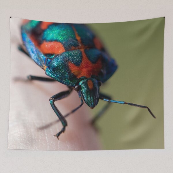 Item preview, Jewel Bug designed and sold by Jacquiamber.