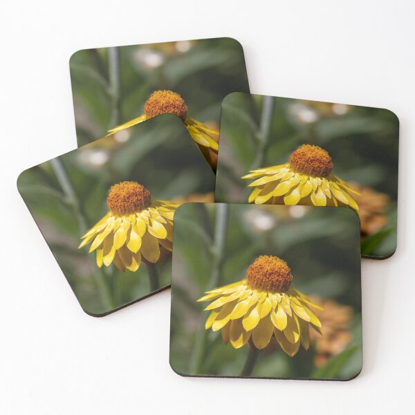 Item preview, Cone flower designed and sold by Jacquiamber.