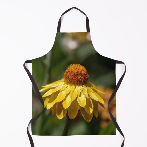 Item preview, Cone flower designed and sold by Jacquiamber.