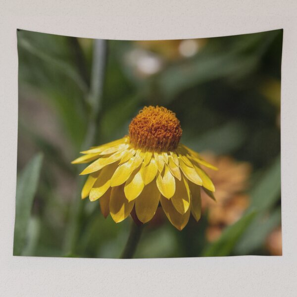 Item preview, Cone flower designed and sold by Jacquiamber.