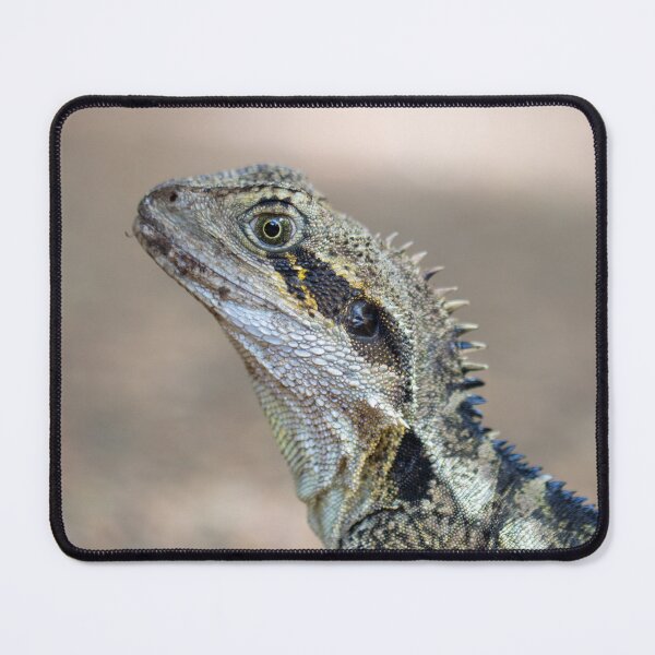 Item preview, Dragon 1 designed and sold by Jacquiamber.