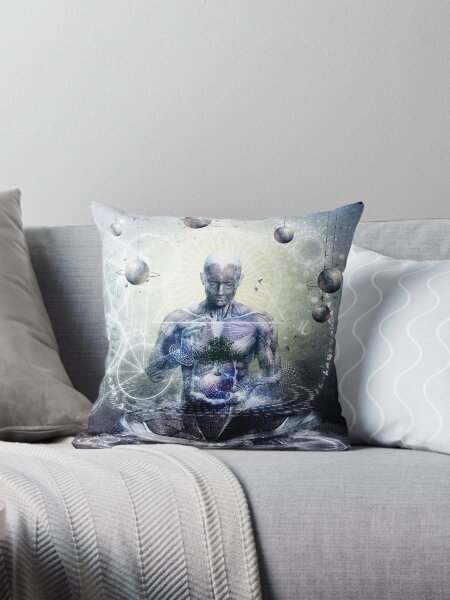 Experience So Lucid, Discovery So Clear Throw Pillow