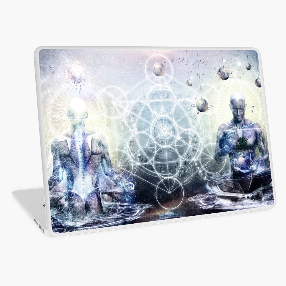 Experience So Lucid, Discovery So Clear Laptop Skin