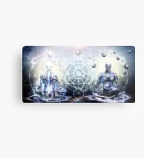 Experience So Lucid, Discovery So Clear Metal Print