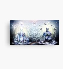 Experience So Lucid, Discovery So Clear Canvas Print