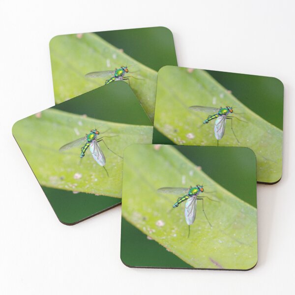 Item preview, Dolichopodidae designed and sold by Jacquiamber.