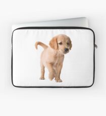 Golden Retriever Laptop Sleeve