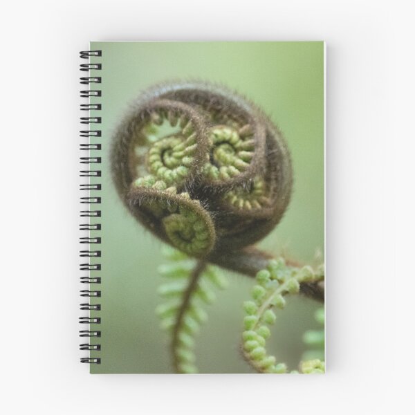 Item preview, Fern 2 (NZ) designed and sold by Jacquiamber.