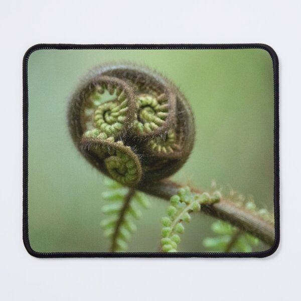 Item preview, Fern 2 (NZ) designed and sold by Jacquiamber.
