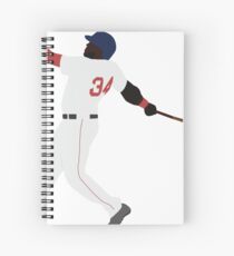 David Ortiz Spiralblock