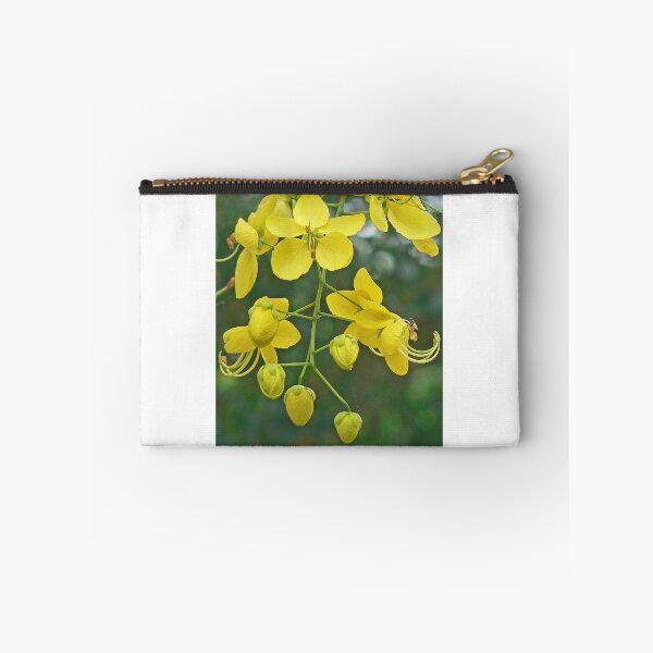 Item preview, Cassia designed and sold by Graeme  Hyde.