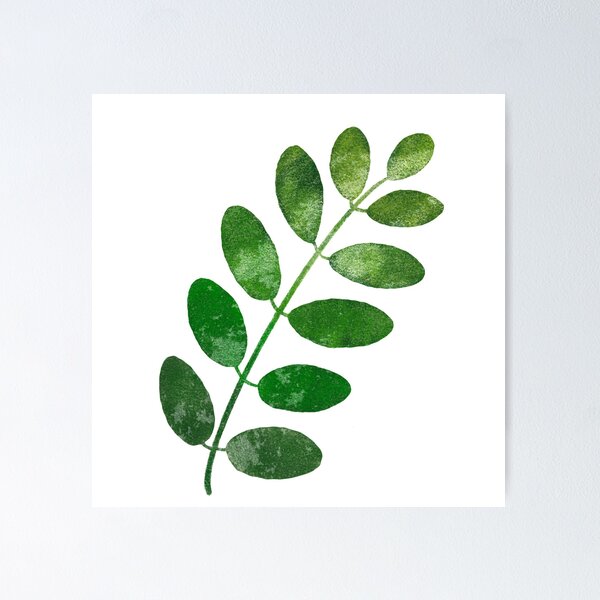 Item preview, the leaves of an acacia tree designed and sold by Sunny-Sally.