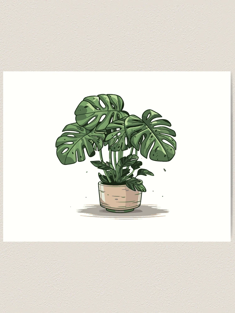 pink princess philodendron obi Philodendron Pink Princess #940