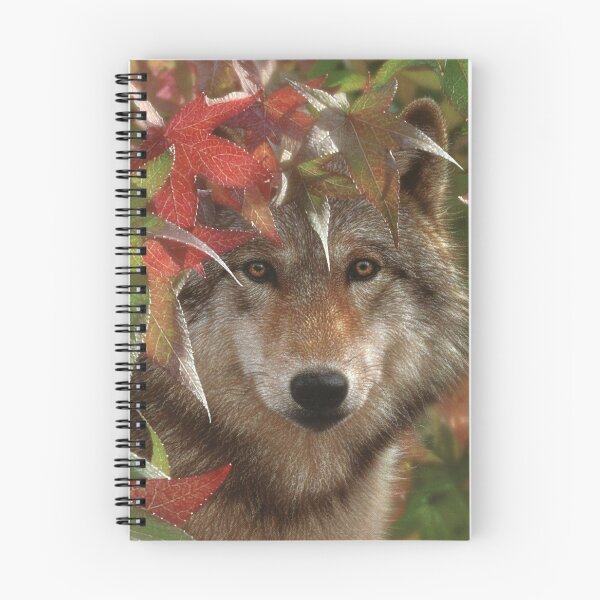 Aperçu de l'œuvre Loup "Rencontre d'Automne" créée et vendue par Collin Bogle.