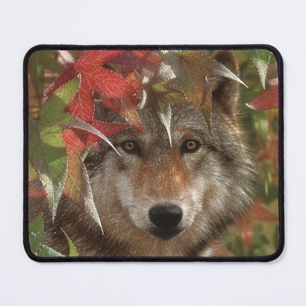 Item preview, Lobo "Encuentro de otoño" designed and sold by Collin Bogle.