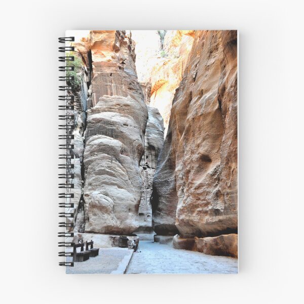 Item preview, Jordan - Petra the Siq designed and sold by franck380.