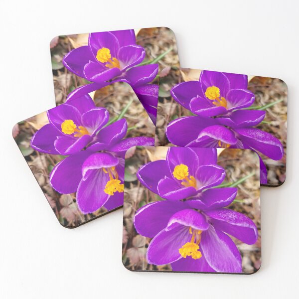 Item preview, Fresh Spring Crocus Blooms designed and sold by bjtomiko.