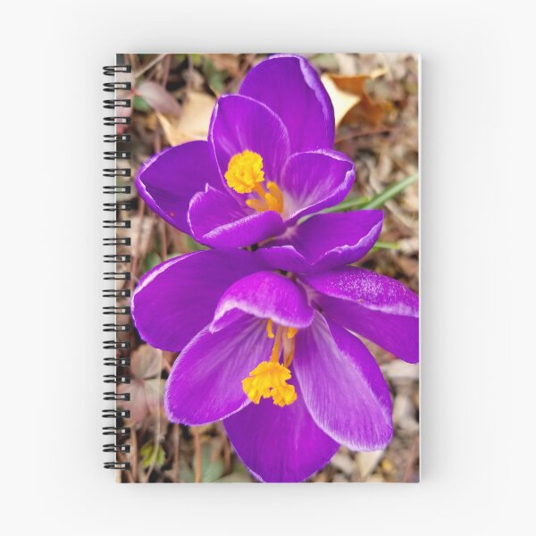 Item preview, Fresh Spring Crocus Blooms designed and sold by bjtomiko.