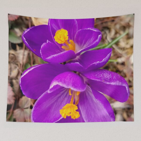 Item preview, Fresh Spring Crocus Blooms designed and sold by bjtomiko.