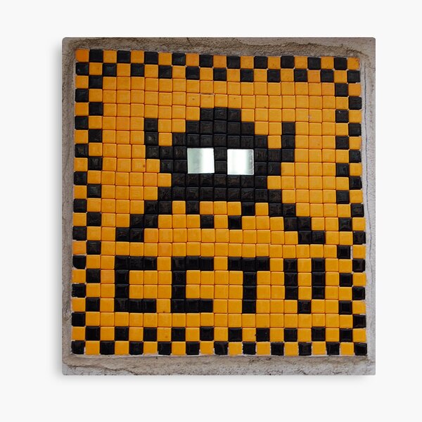 Space Invader Canvas Print