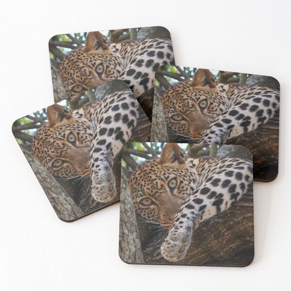 Item preview, Leopard designed and sold by Glenreptiles.
