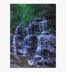 Magic in the forest Photographic Print