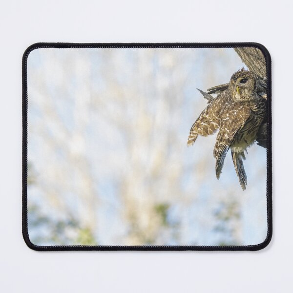 Item preview, Mama Barred Owl designed and sold by Puttaswamy Ravishankar.