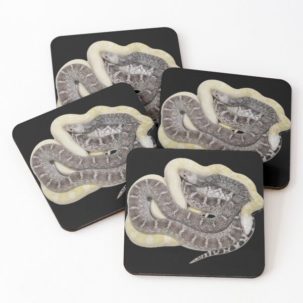 Item preview, Bullsnakes designed and sold by Glenreptiles.