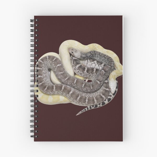 Item preview, Bullsnakes designed and sold by Glenreptiles.