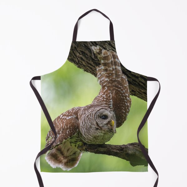 Item preview, Relaxing Male Barred Owl designed and sold by Puttaswamy Ravishankar.