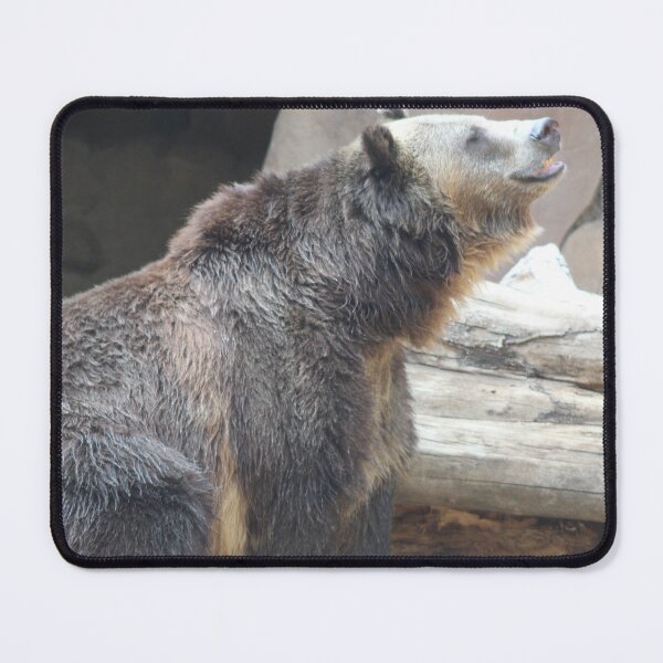 Item preview, Smiling bear! designed and sold by Callistomuseum.