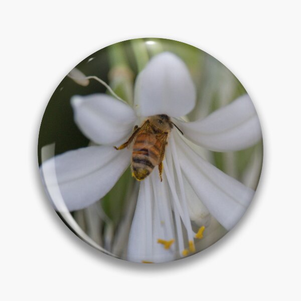 Item preview, Busy Bee Bum 2 designed and sold by Jacquiamber.