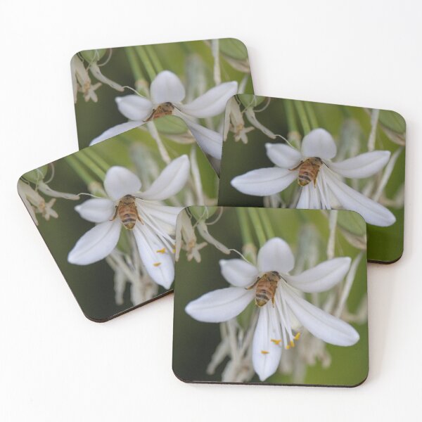 Item preview, Busy Bee Bum 2 designed and sold by Jacquiamber.