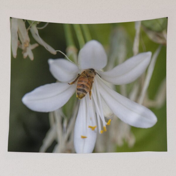 Item preview, Busy Bee Bum 2 designed and sold by Jacquiamber.