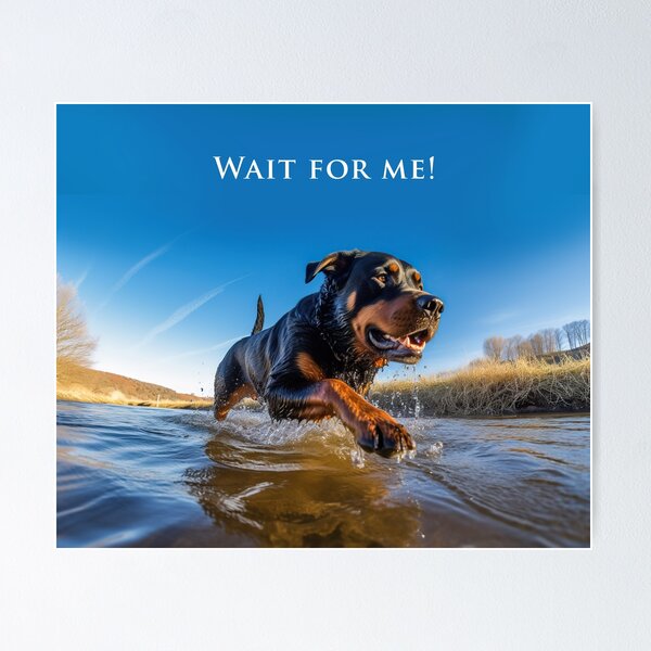 Item preview, Rottie playing in the water designed and sold by ebrawne.
