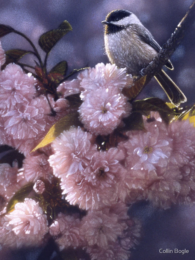 Thumbnail 4 of 4, iPhone Case, Chickadee "In Spring Pink" designed and sold by Collin Bogle.
