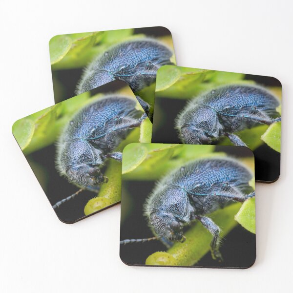 Item preview, A metallic blue leaf beetle! (Trichochrysea hirta) relaxing on the petiole  designed and sold by AvonPerception.