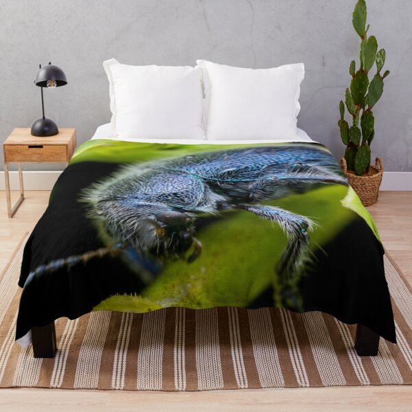 Item preview, A metallic blue leaf beetle! (Trichochrysea hirta) relaxing on the petiole  designed and sold by AvonPerception.